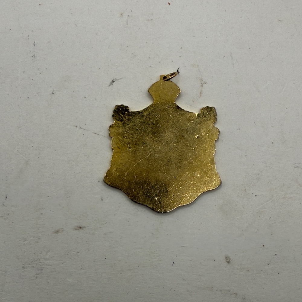 Vintage Hawaiian Coat Of Arms Enamel Pendant Jewelry Folk Art White Gold Tone - Picture 3 of 6